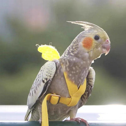 Adjustable Pet Parrot Bird Harness Lead Leash Flying Training Rope Cockatiel AU - Aimall