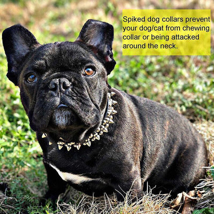 Dog Collar Leather Studded Black Brown Small Medium Large Breeds Pet Melbourne - Aimall