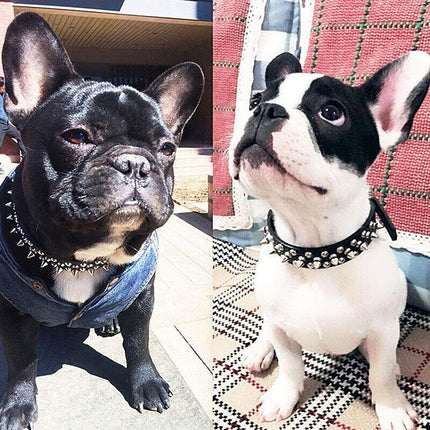 Dog Collar Leather Studded Black Brown Small Medium Large Breeds Pet Melbourne - Aimall