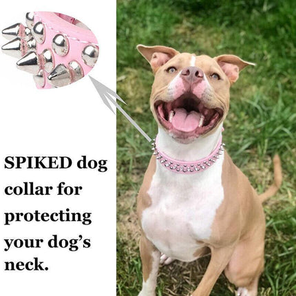 Dog Collar Leather Studded Black Brown Small Medium Large Breeds Pet Melbourne - Aimall