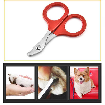 Pet Nail Claw Grooming Scissors Clippers For Dog Cat Bird Rabbit Ferret AU STOCK - Aimall