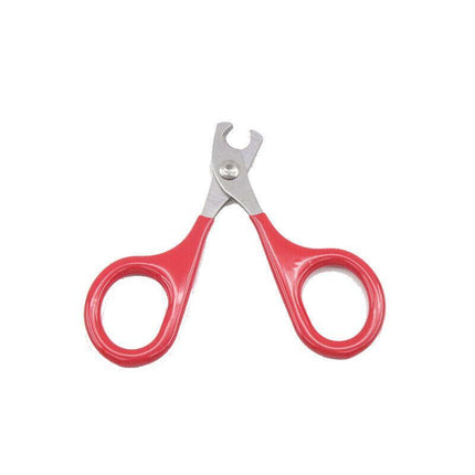 Pet Nail Claw Grooming Scissors Clippers For Dog Cat Bird Rabbit Ferret AU STOCK - Aimall