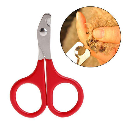Pet Nail Claw Grooming Scissors Clippers For Dog Cat Bird Rabbit Ferret AU STOCK - Aimall