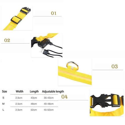 USB Rechargeable LED Dog Collar Nylon Glow Flashing Light Up Safety Pet Collars - Aimall