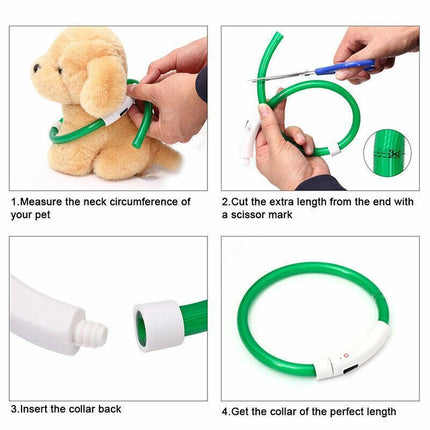 USB Rechargeable LED Dog Collar Night Glow Flashing Light Up Safety Pet Collars - Aimall