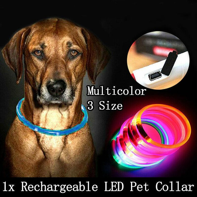 USB Rechargeable LED Dog Collar Night Glow Flashing Light Up Safety Pet Collars - Aimall