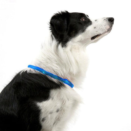 USB Rechargeable LED Dog Collar Night Glow Flashing Light Up Safety Pet Collars - Aimall