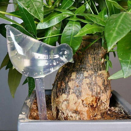 Automatic Self Plant Watering Glass Bulbs Water Feeder Indoor Irrigation Outdoor - Aimall