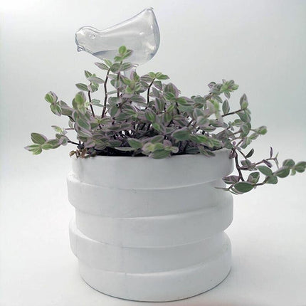 Automatic Self Plant Watering Glass Bulbs Water Feeder Indoor Irrigation Outdoor - Aimall