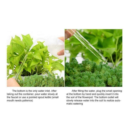 Automatic Self Plant Watering Glass Bulbs Water Feeder Indoor Irrigation Outdoor - Aimall