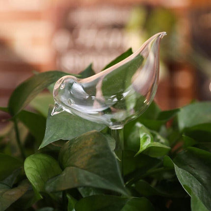Automatic Self Plant Watering Glass Bulbs Water Feeder Indoor Irrigation Outdoor - Aimall