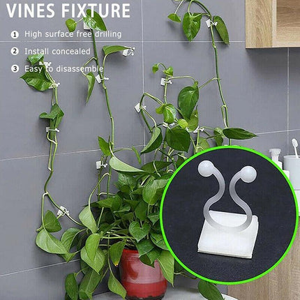 100PCS Invisible Wall Rattan Clamp Clip Plant Climbing Wall Clip Wall Vines Fixt - Aimall