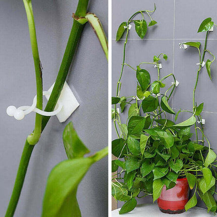 100PCS Invisible Wall Rattan Clamp Clip Plant Climbing Wall Clip Wall Vines Fixt - Aimall