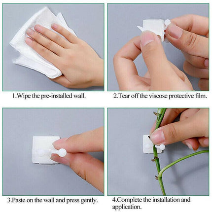 100PCS Invisible Wall Rattan Clamp Clip Plant Climbing Wall Clip Wall Vines Fixt - Aimall