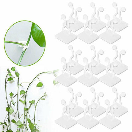 100PCS Invisible Wall Rattan Clamp Clip Plant Climbing Wall Clip Wall Vines Fixt - Aimall