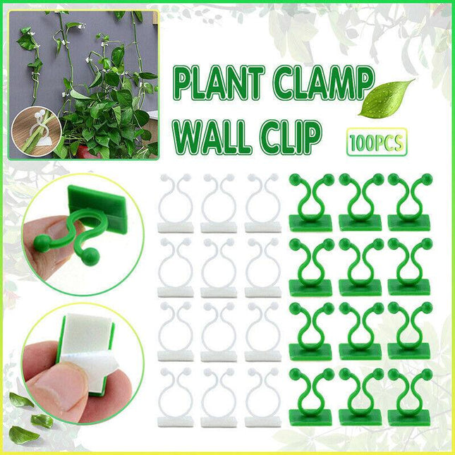 100PCS Invisible Wall Rattan Clamp Clip Plant Climbing Wall Clip Wall Vines Fixt - Aimall