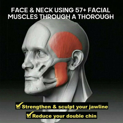 Anti-Age Toning Neck Facial Toner Jaw Exerciser Fitness Face Muscle Jawzrsize AU - Aimall