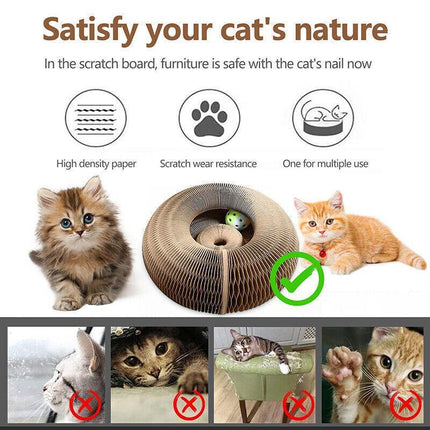 Magic Organ Cat Scratching Board Grab Board--Comes With A Toy Bell Ball AU Stock - Aimall
