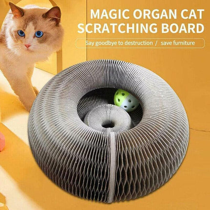 Magic Organ Cat Scratching Board Grab Board--Comes With A Toy Bell Ball AU Stock - Aimall