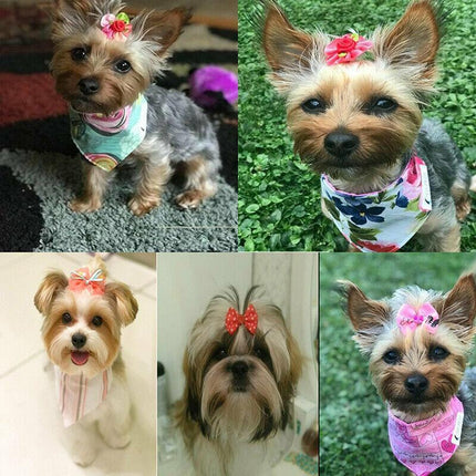 20PCS Pet Small Dog Hair Bows Rubber Bands Puppy Cat Grooming Accessory Set AU - Aimall