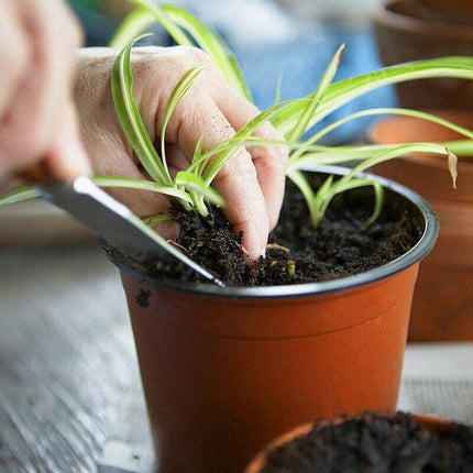 AU STOCK 20PCS SOFT PLASTIC PLANT POTS NURSERY SEEDLINGS CONTAINER 012 AU - Aimall