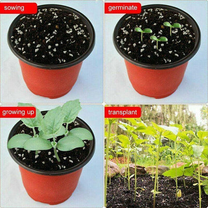 AU STOCK 20PCS SOFT PLASTIC PLANT POTS NURSERY SEEDLINGS CONTAINER 012 AU - Aimall