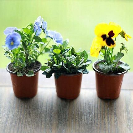 AU STOCK 20PCS SOFT PLASTIC PLANT POTS NURSERY SEEDLINGS CONTAINER 012 AU - Aimall