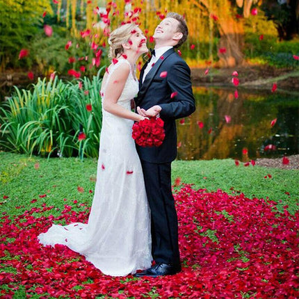 1000 Pcs Artificial Silk Petals Flowers Fake Rose Petal Wedding Flower Decoratio - Aimall