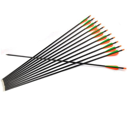 10X/20X/50X 32" FiberGlass Arrows Archery Hunting Compound Bow Fiber Glass Bows - Aimall