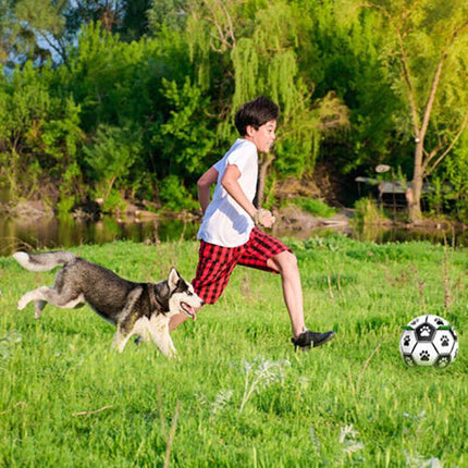 Interactive Pet Football Dog Toys Grab Tabs Outdoor Training Soccer Chew Balls - Aimall
