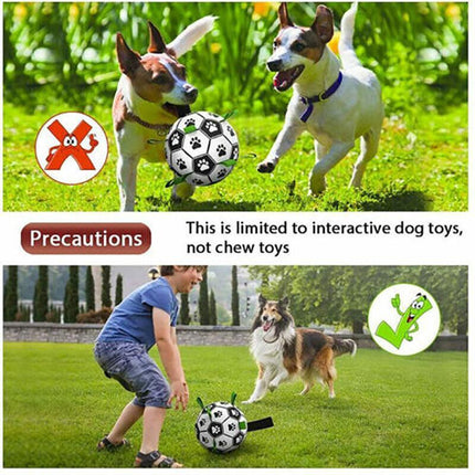 Interactive Pet Football Dog Toys Grab Tabs Outdoor Training Soccer Chew Balls - Aimall