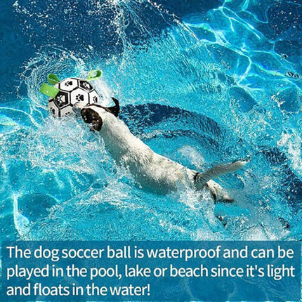 Interactive Pet Football Dog Toys Grab Tabs Outdoor Training Soccer Chew Balls - Aimall