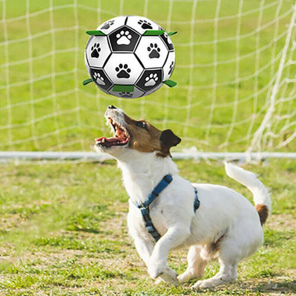 Interactive Pet Football Dog Toys Grab Tabs Outdoor Training Soccer Chew Balls - Aimall