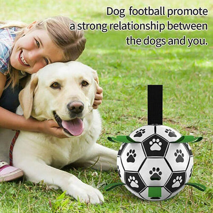 Interactive Pet Football Dog Toys Grab Tabs Outdoor Training Soccer Chew Balls - Aimall