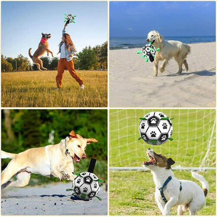 Interactive Pet Football Dog Toys Grab Tabs Outdoor Training Soccer Chew Balls - Aimall