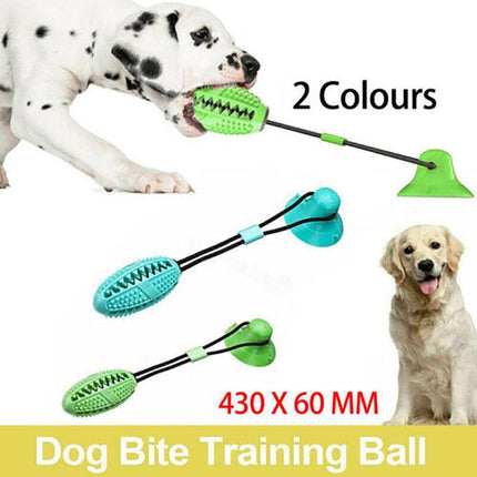 Pet Molar Bite Toy Multifunction Floor Suction Cup Dog Balls Interactive PuppyAU - Aimall