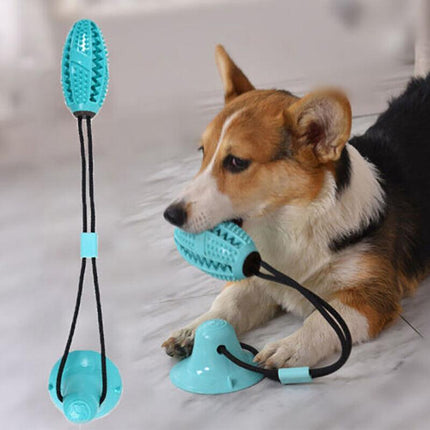 Pet Molar Bite Toy Multifunction Floor Suction Cup Dog Balls Interactive PuppyAU - Aimall