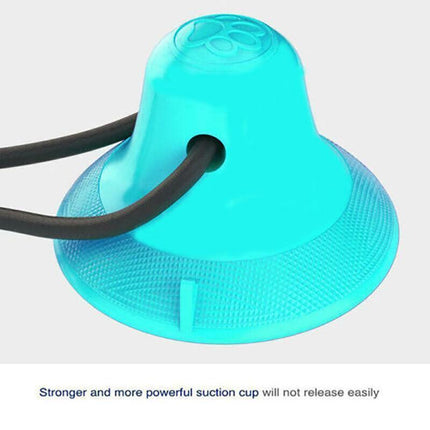 Pet Molar Bite Toy Multifunction Floor Suction Cup Dog Balls Interactive PuppyAU - Aimall