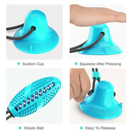 Pet Molar Bite Toy Multifunction Floor Suction Cup Dog Balls Interactive PuppyAU - Aimall