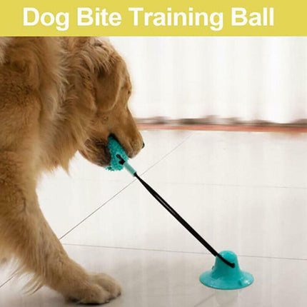 Pet Molar Bite Toy Multifunction Floor Suction Cup Dog Balls Interactive PuppyAU - Aimall