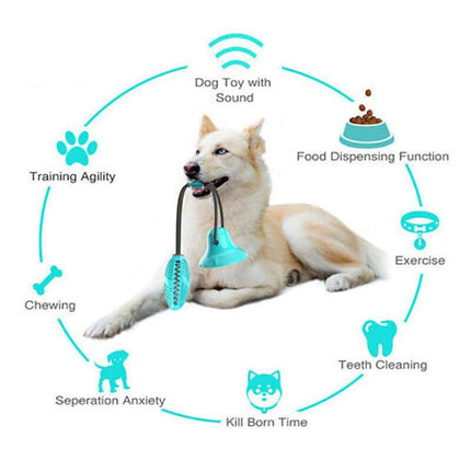Pet Molar Bite Toy Multifunction Floor Suction Cup Dog Balls Interactive PuppyAU - Aimall