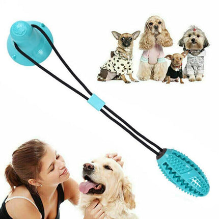 Pet Molar Bite Toy Multifunction Floor Suction Cup Dog Balls Interactive PuppyAU - Aimall