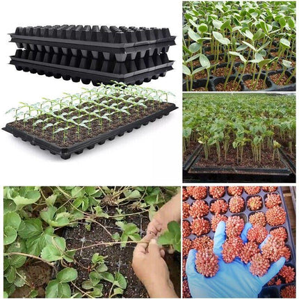 12x 72 Hole Plant Seed Grow Box Insert Propagation Nursery Seedling Starter Tray - Aimall