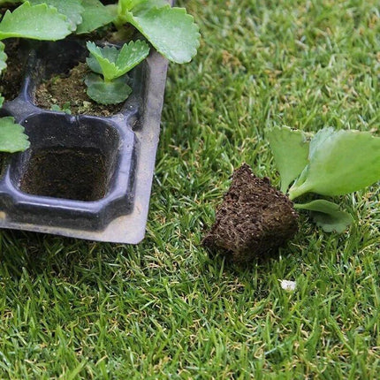 12x 72 Hole Plant Seed Grow Box Insert Propagation Nursery Seedling Starter Tray - Aimall