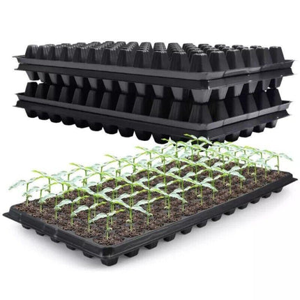 12x 72 Hole Plant Seed Grow Box Insert Propagation Nursery Seedling Starter Tray - Aimall
