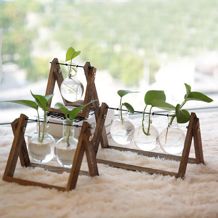 Wooden Stand Hanging Glass Vase Terrarium Hydroponics Container Pot Decor AU - Aimall