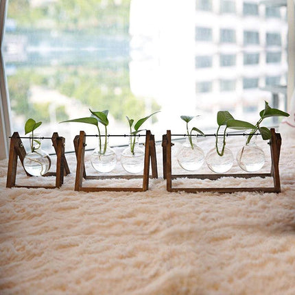 Wooden Stand Hanging Glass Vase Terrarium Hydroponics Container Pot Decor AU - Aimall