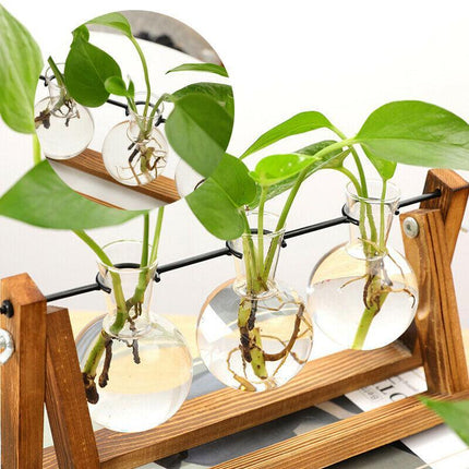 Wooden Stand Hanging Glass Vase Terrarium Hydroponics Container Pot Decor AU - Aimall