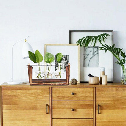 Wooden Stand Hanging Glass Vase Terrarium Hydroponics Container Pot Decor AU - Aimall