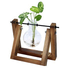 Wooden Stand Hanging Glass Vase Terrarium Hydroponics Container Pot Decor AU - Aimall